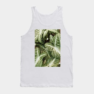 green leaves, plant, plant lover Tank Top